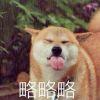 不懂球的瓜皮