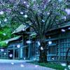 chenyl_238