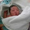 蓝鹰内斯塔