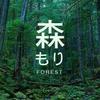 阿瑞瑞