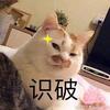 午夜emo小猪