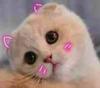 33mylove