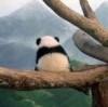 晓散终合