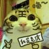 铲屎官凤儿