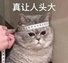 雨过月明