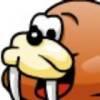 小赵sir
