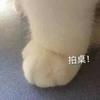 yyyzc