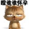 灵动de冰河