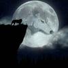 光风霁夜