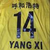 xiaoyfan