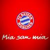 FcBayern2013