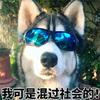 尽管吩咐