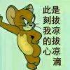 风彩少年