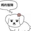 来份蛋堡