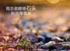大巴黎卡瓦尼