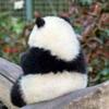 无中生有因你