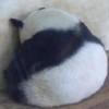好命的人