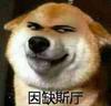 Whyareyousodiao