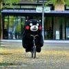总有老师想挂朕