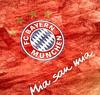 -Robben-