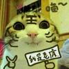咚咚强2016