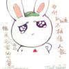仁迷BAY