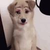 涛小叔