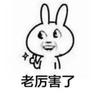 王翔冬