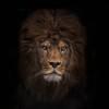 Courage2