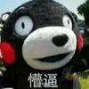 洛昭言丶
