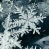 寒江雪钓