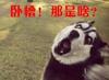 魂晓蛋