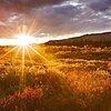 MorningSun-