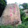 阳光灿烂su