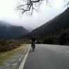 tatal