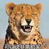 罗本洗头爱飘柔