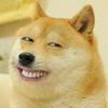 可疑的胡萝卜