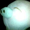 kingofpigs2013
