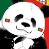 托陀妥拓