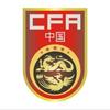 国足主教练银狐里皮