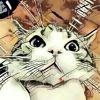 面条猴猴