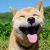 yuji