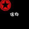 R9记忆
