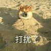 闪电球先生