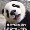 MUN小麦