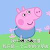 花也不曾飞舞