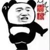我叫豆豆逗逗