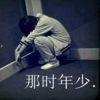 球迷24501946