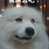古斯塔沃2