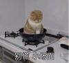 谷和雨清
